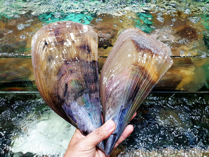 visitphuquoc