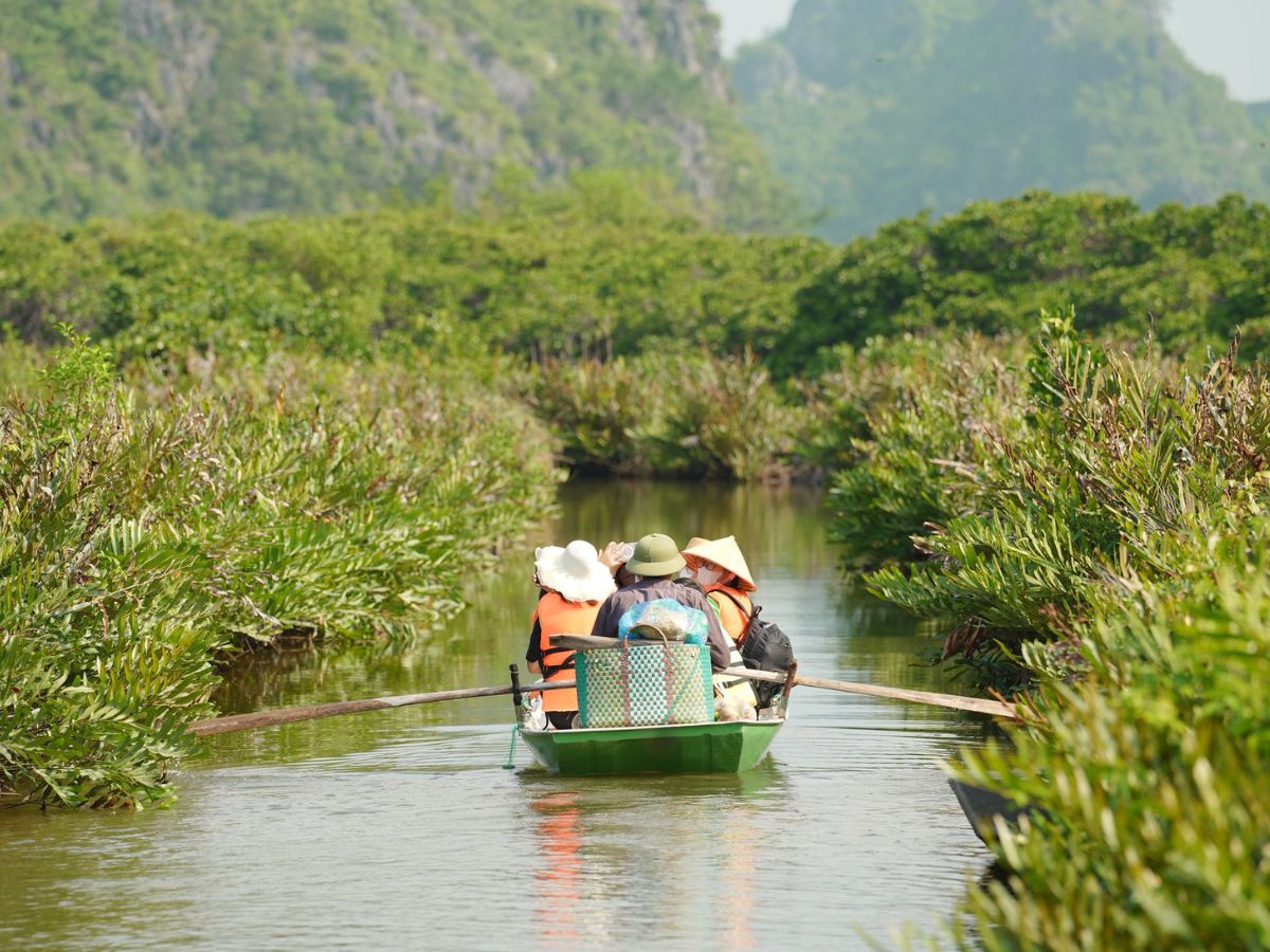 Các khu sinh thái ở Hải Phòng bảo tồn những giá trị thiên nhiên quý giá của vùng duyên hải Bắc Bộ