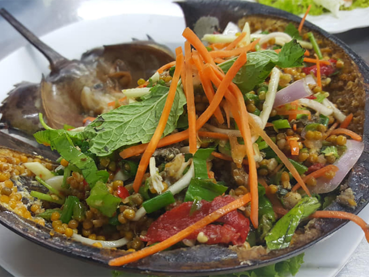 Món gỏi Sam đặc trưng tại nhà hàng