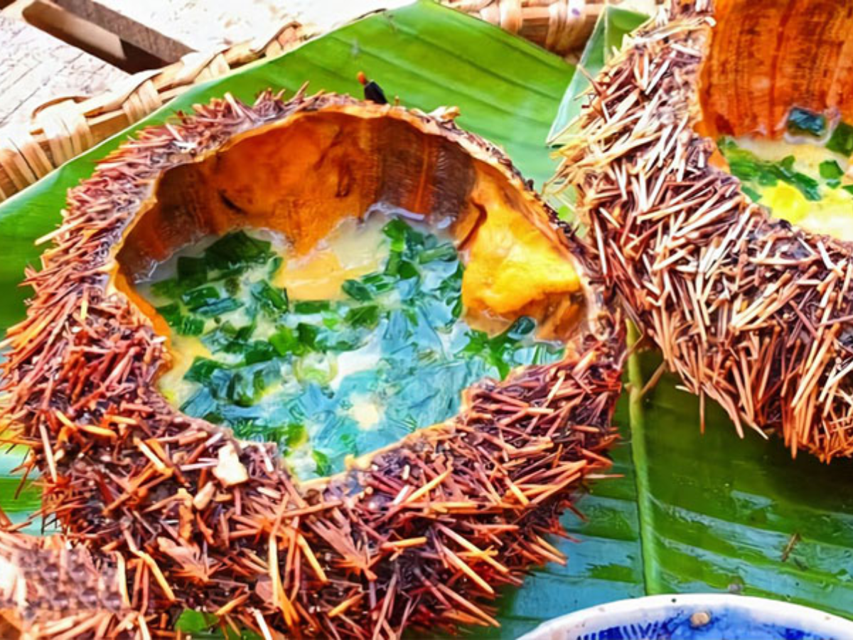 Thưởng thức hải sản tại Đồ Sơn - Hòn Dấu