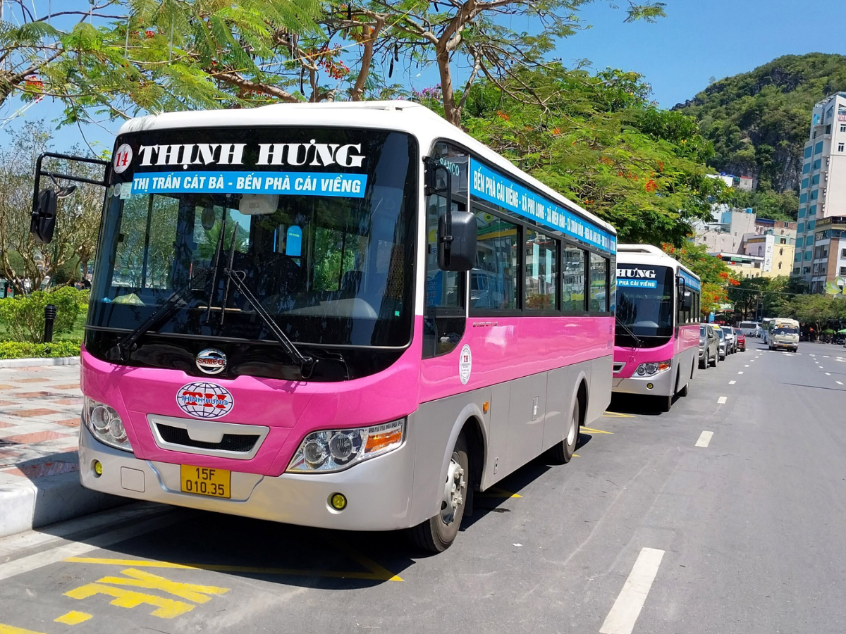 Du khách có thể đi xe buýt để di chuyển