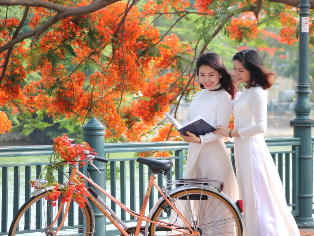 Trải nghiệm mùa hoa phượng đỏ Hải Phòng