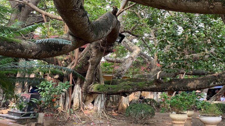 visitphuquoc