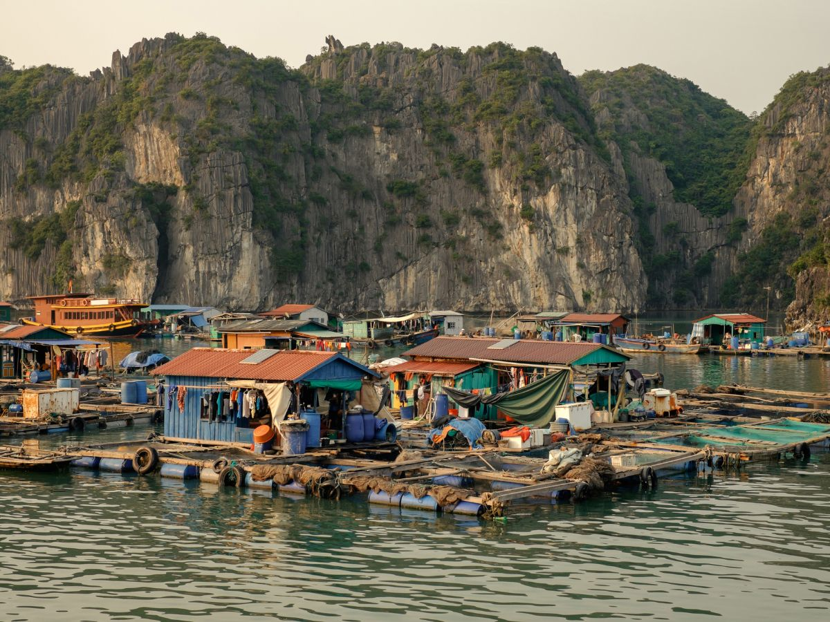 Các tour thường đưa khách đi qua những địa danh nổi tiếng như làng chài Cái Bèo, Hòn Rùa,...
