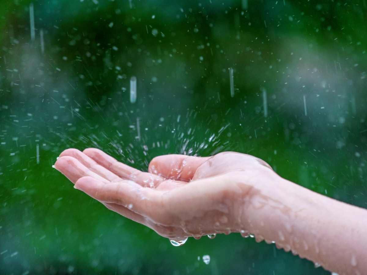 Tiếng sóng, tiếng mưa, khung cảnh núi đá phủ mây và không khí biển mát lành giúp giảm căng thẳng&nbsp;