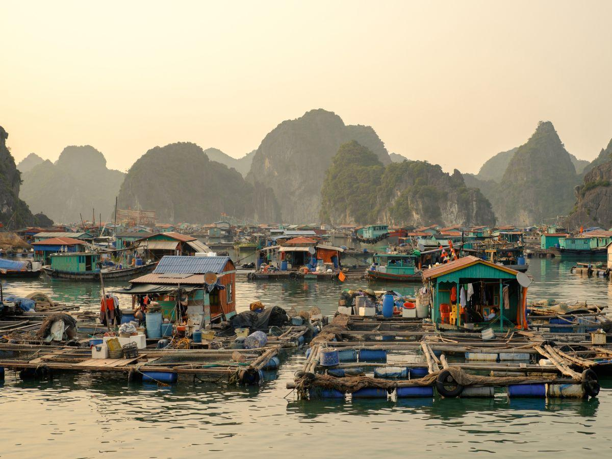 Làng chài Cái Bèo được hình thành từ hàng nghìn năm trước, hiện có hàng trăm hộ dân sinh sống