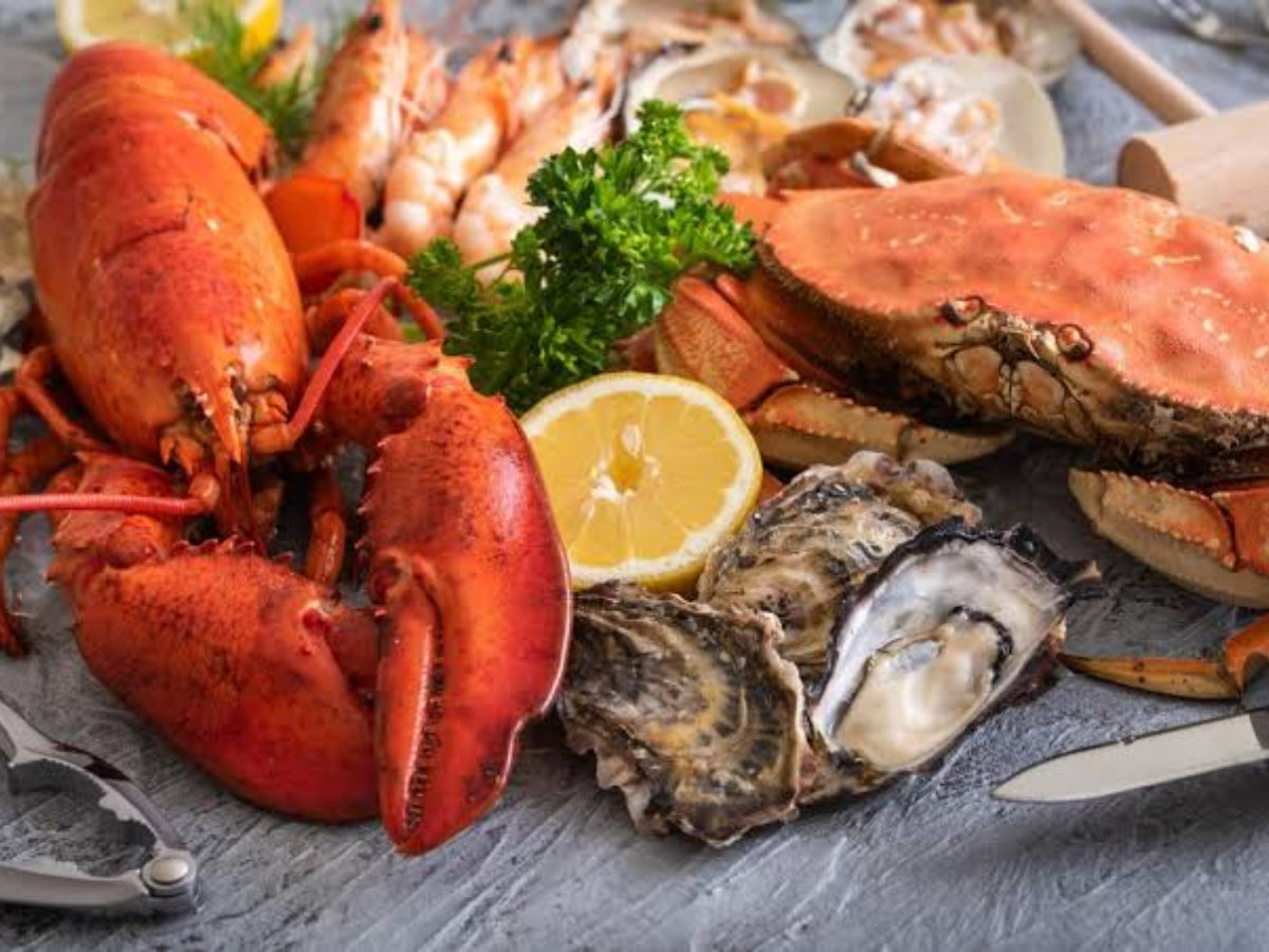 Cát Bà là một trong những vùng biển nổi tiếng của miền Bắc với nguồn hải sản phong phú