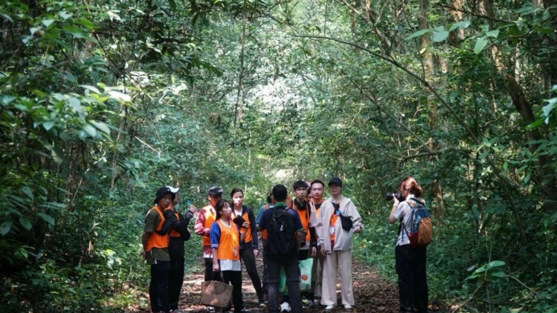 The trekking trails in Cat Ba National Park allow visitors to immerse themselves in pristine nature