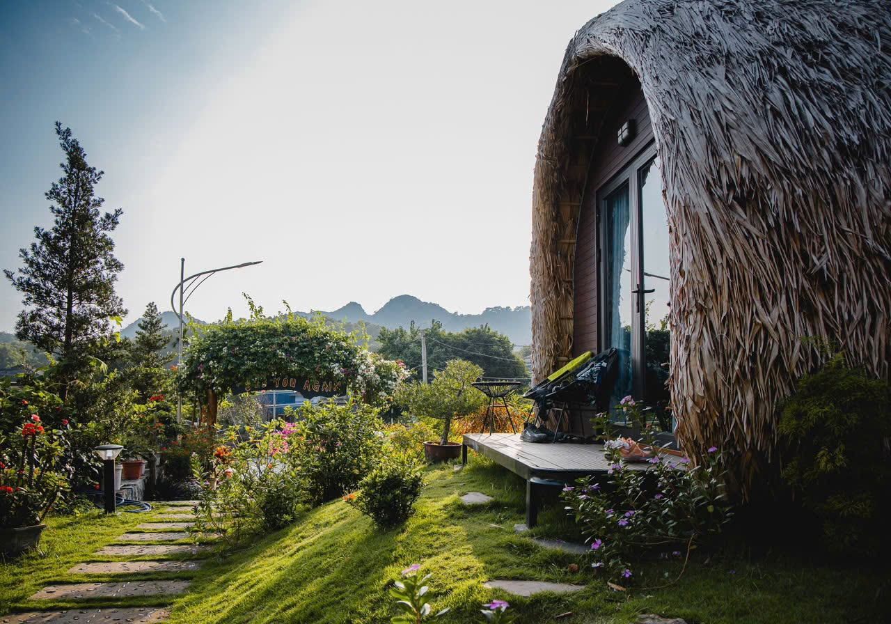 Homestays near Cat Ba National Park are ideal accommodation options for nature lovers