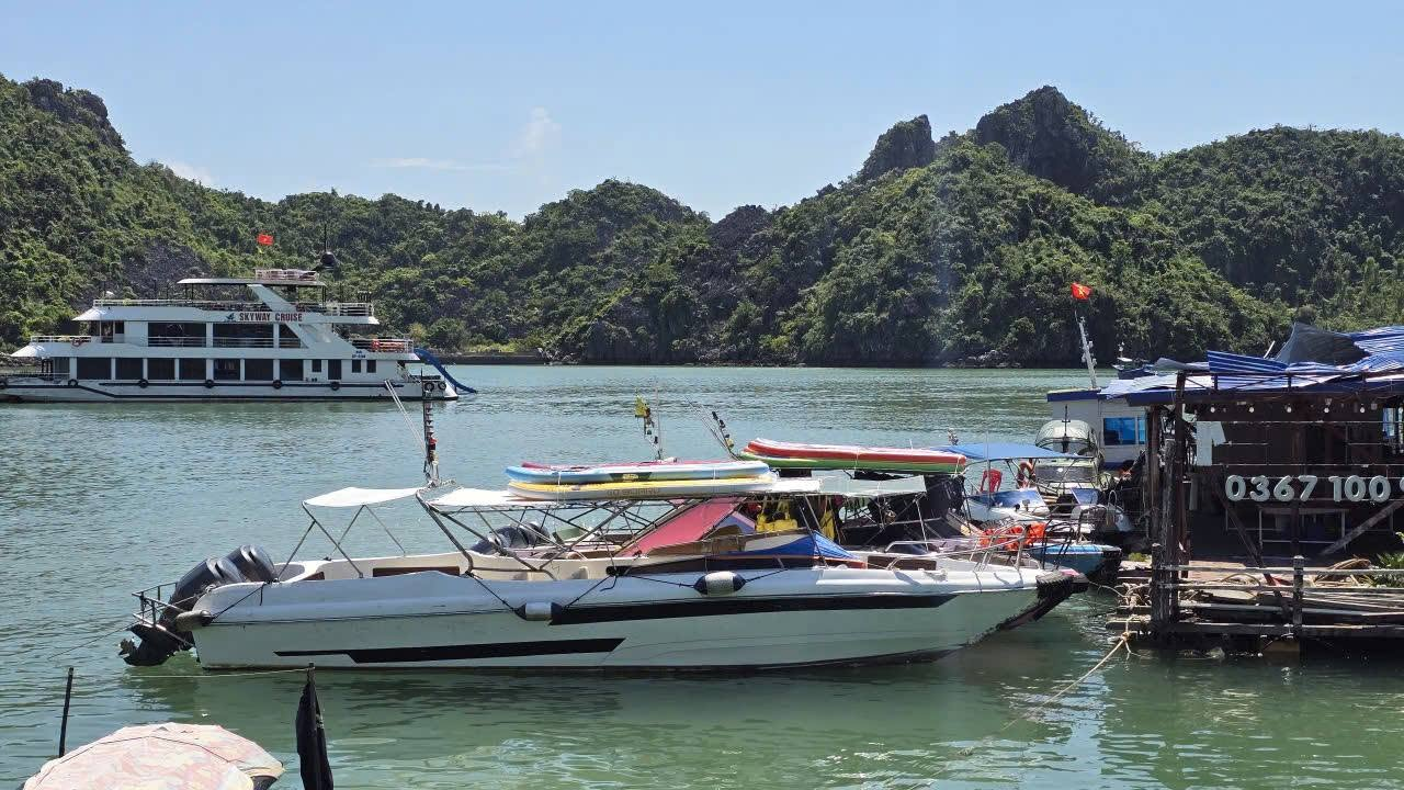 Hành trình khám phá vịnh Lan Hạ bằng cano là cơ hội để du khách cảm nhận vẻ đẹp của vùng vịnh từ khoảng cách gần nhất
