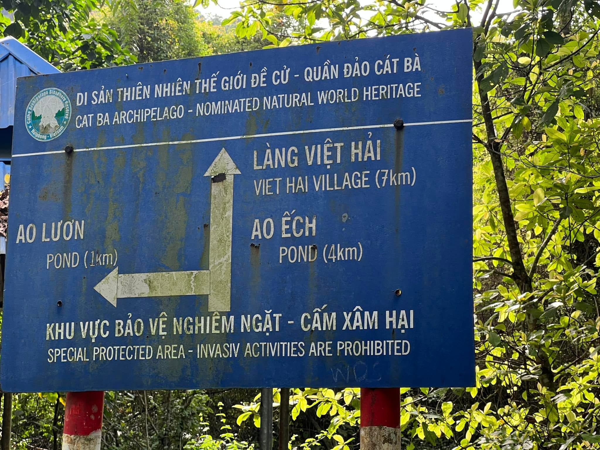 Những cung đường xuyên rừng mang đến trải nghiệm khám phá đầy thử thách