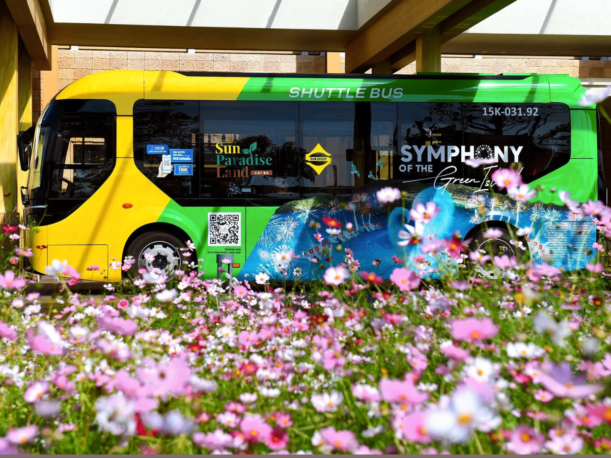 Khi đã vào trung tâm đảo, xe buggy điện, taxi điện hoặc đi bộ là những lựa chọn phù hợp