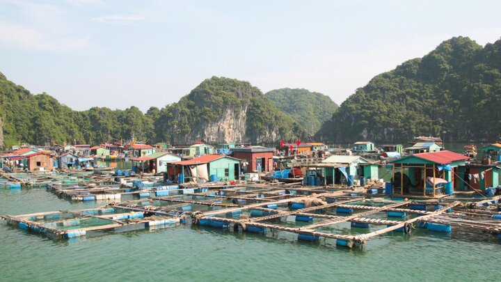 visitphuquoc