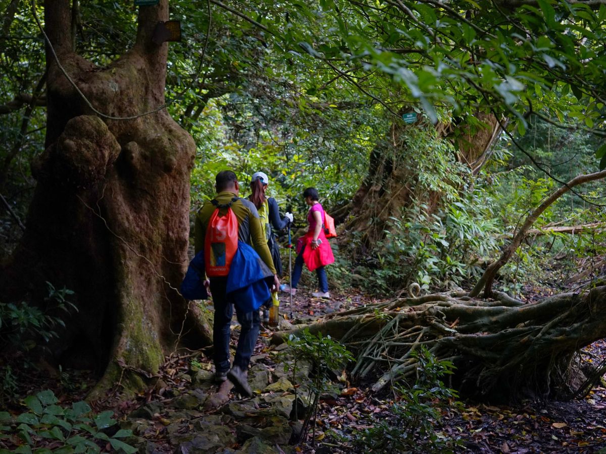Cat Ba National Park features diverse ecosystems and pristine natural landscapes