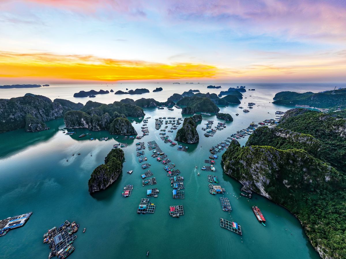 Lên lịch trình chi tiết 2 ngày 1 đêm tại Cát Bà