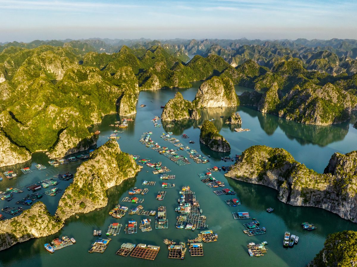 Xác định đúng điểm khởi hành để khám phá Đảo Khỉ