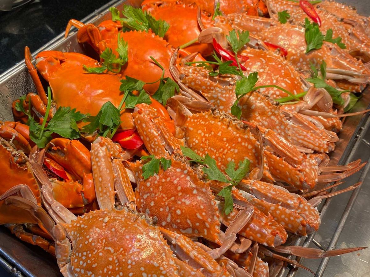 Ghẹ xanh Cát Bà được nhiều du khách yêu thích