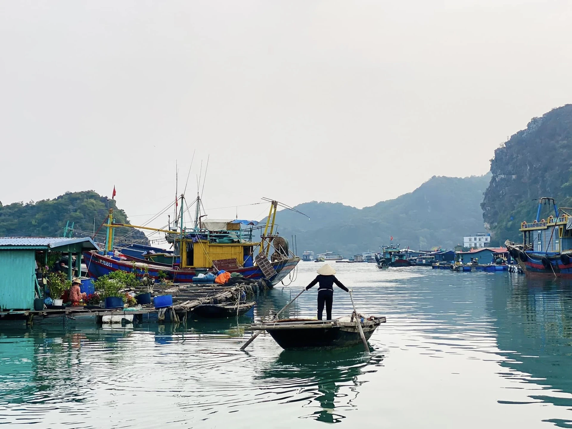 Làng chài Cái Bèo bình yên giữa những dãy núi đá và vùng biển xanh của Cát Bà