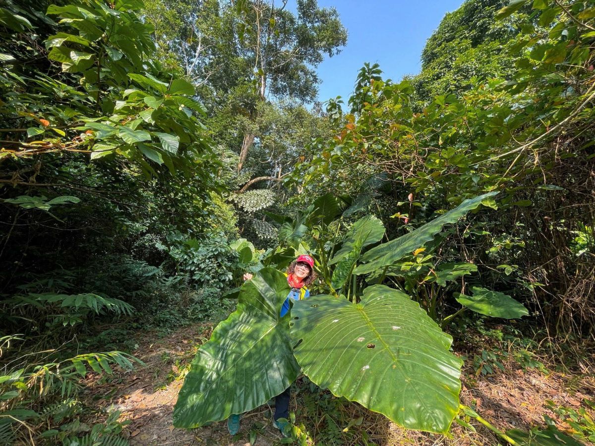 Du khách nên lựa chọn cung đường phù hợp trong tour trekking Vườn quốc gia Cát Bà