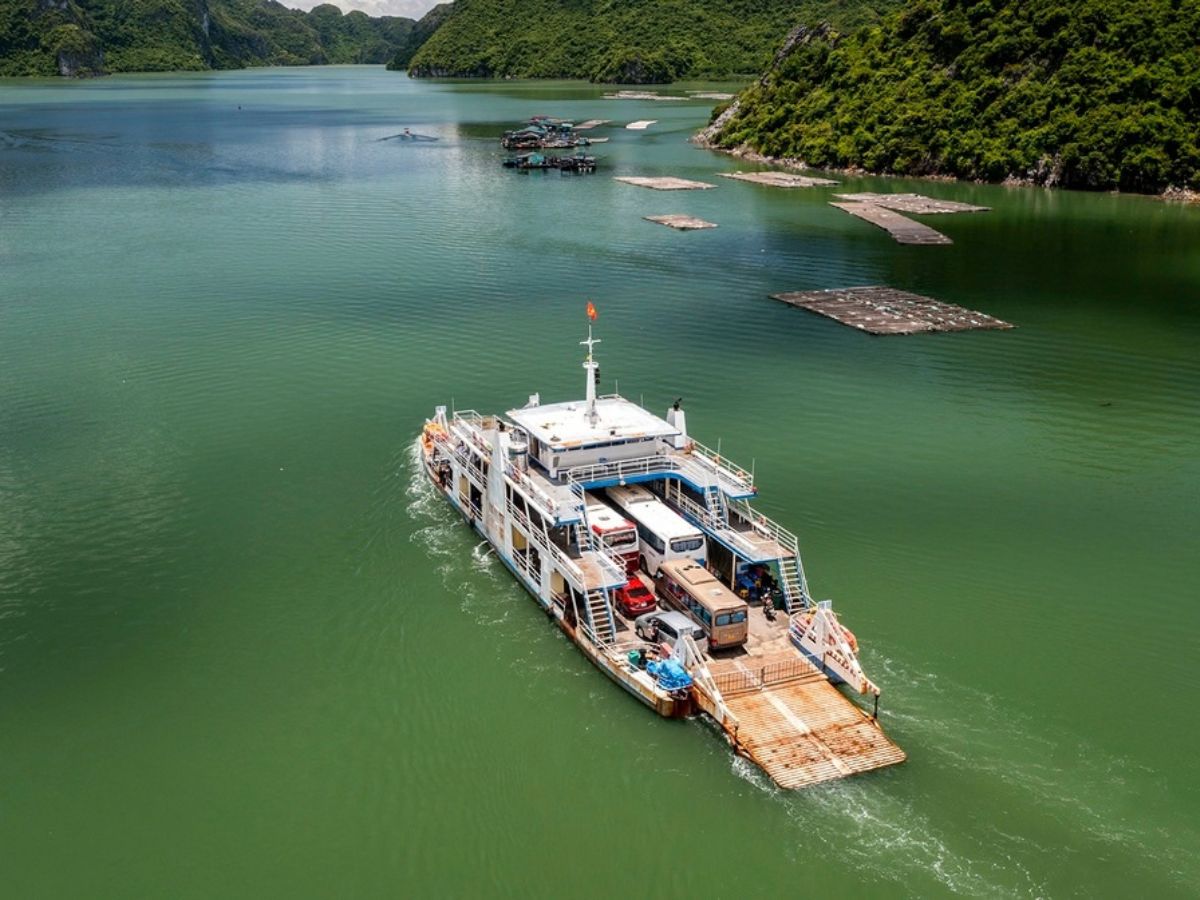 Lịch trình Cát Bà 2 ngày 1 đêm đi phà trọn vẹn cho du khách