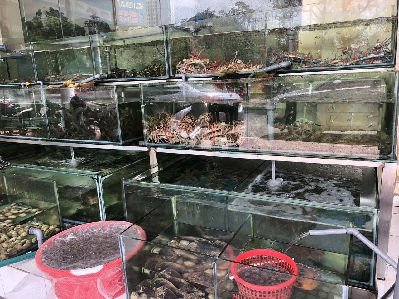 Bể hải sản tươi ngon tại nhà hàng Làng Chài