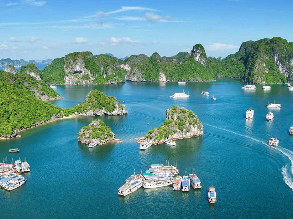 Hệ sinh thái tại đây gồm rừng trên núi đá vôi, rừng ngập mặn, vùng biển và nhiều sinh cảnh khác nhau