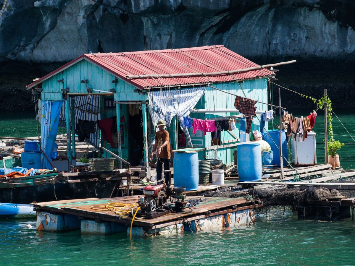 Tìm hiểu cuộc sống của ngư dân làng chài Cái Bèo