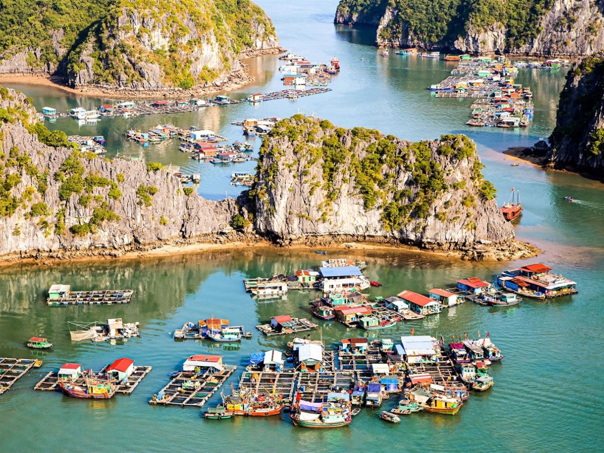 Lưu ý quan trọng để hành trình trải nghiệm làng chài Cái Bèo diễn ra thuận lợi.