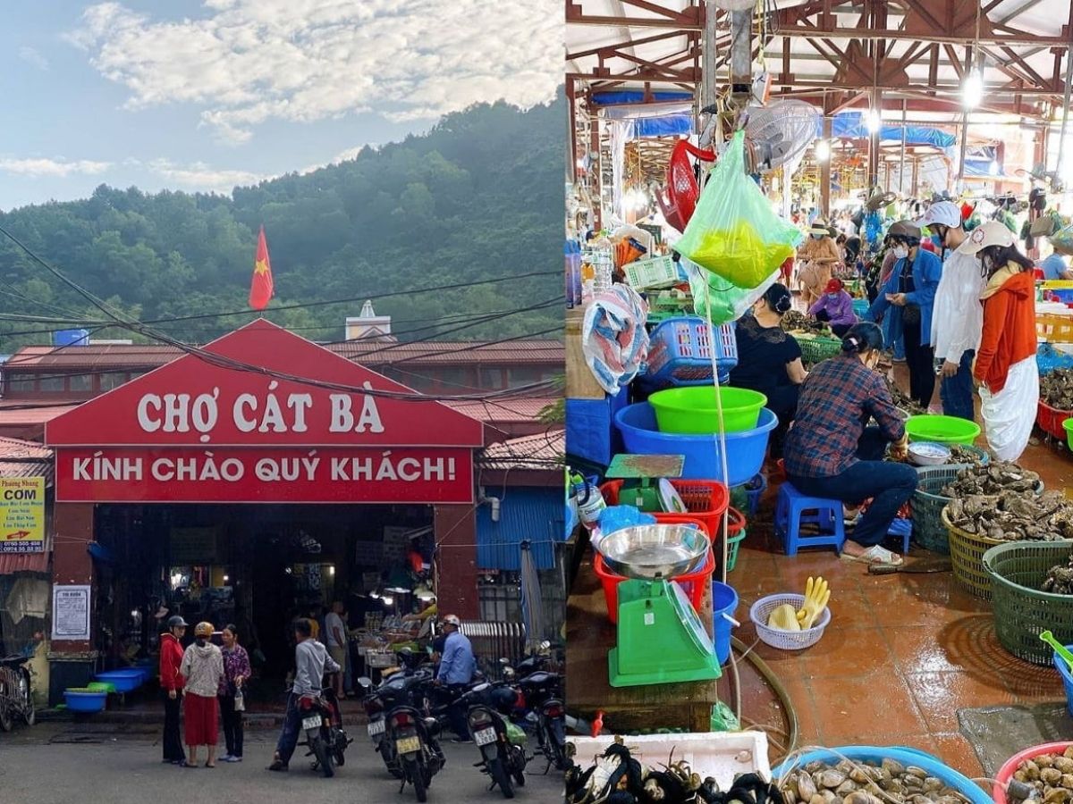 Chợ Cát Bà là lựa chọn phù hợp với du khách muốn trực tiếp quan sát và lựa chọn hải sản theo nhu cầu