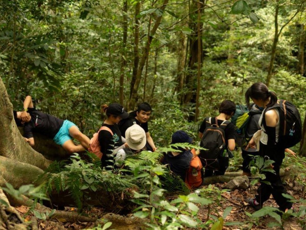 Đường trekking đi qua rừng nguyên sinh, các sườn núi đá vôi và nhiều hệ sinh thái đặc trưng của Khu dự trữ sinh quyển thế giới.