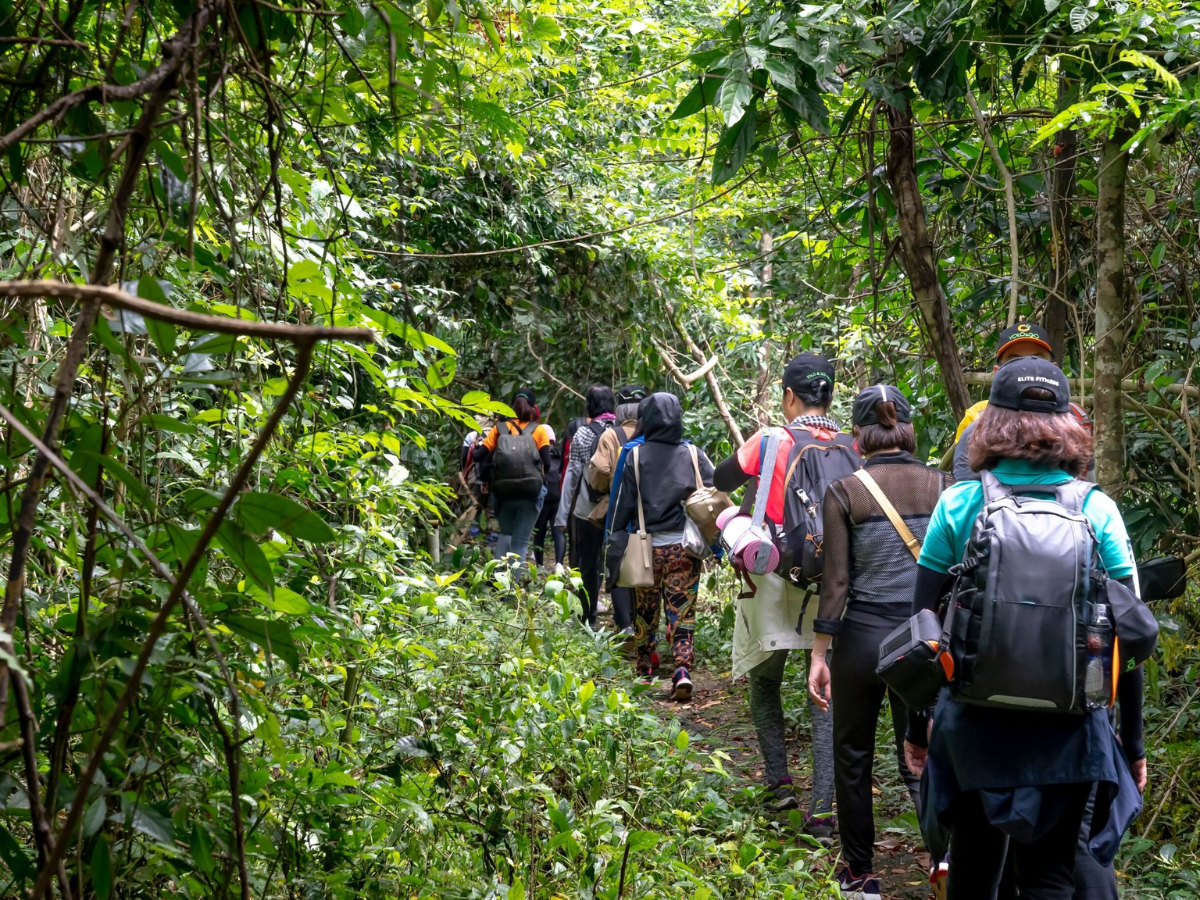 Vườn quốc gia Cát Bà hiện có nhiều tuyến trekking phù hợp với từng đối tượng