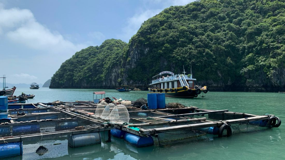Du khách có thể tham quan đời sống lao động giản dị của ngư dân tại làng chài Cái Bèo