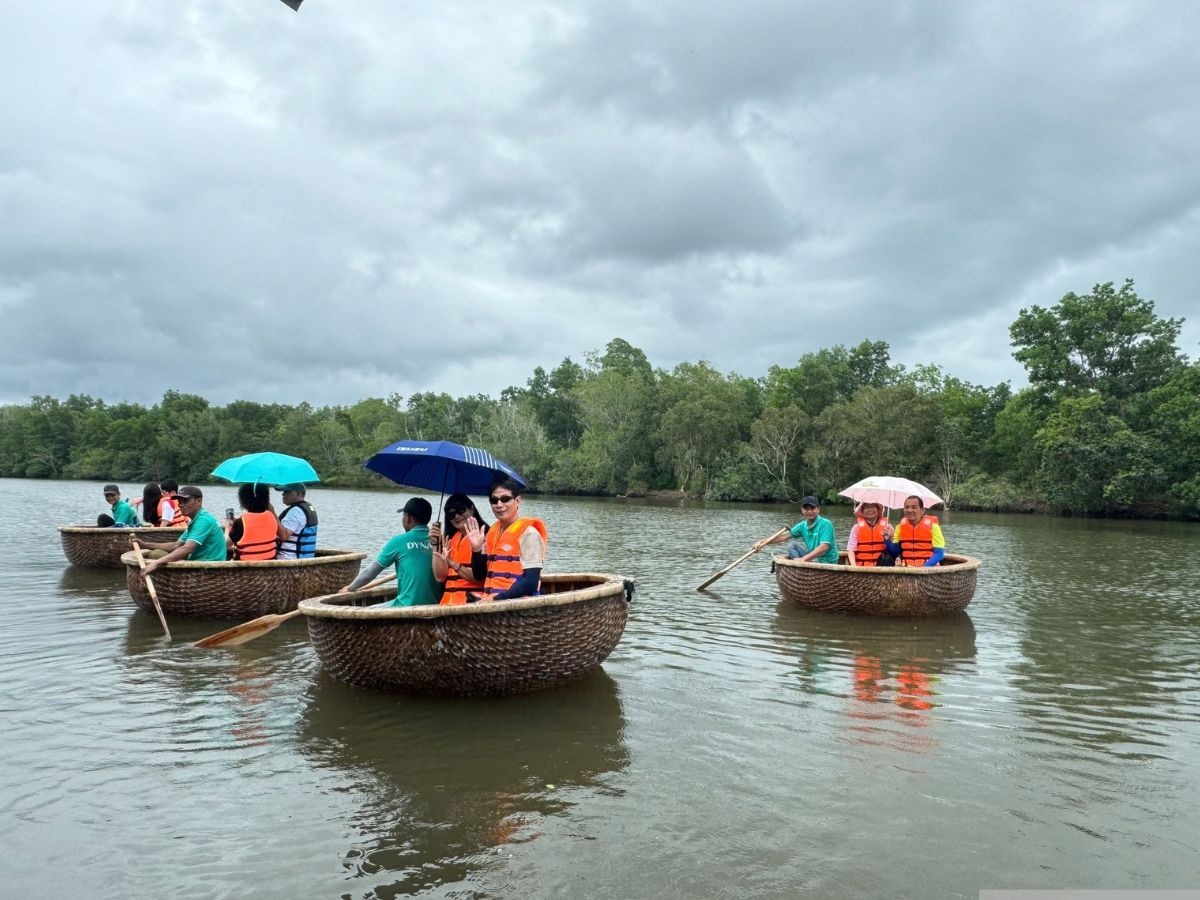 Thời điểm chèo thuyền Cát Bà phù hợp phụ thuộc nhiều vào thời tiết