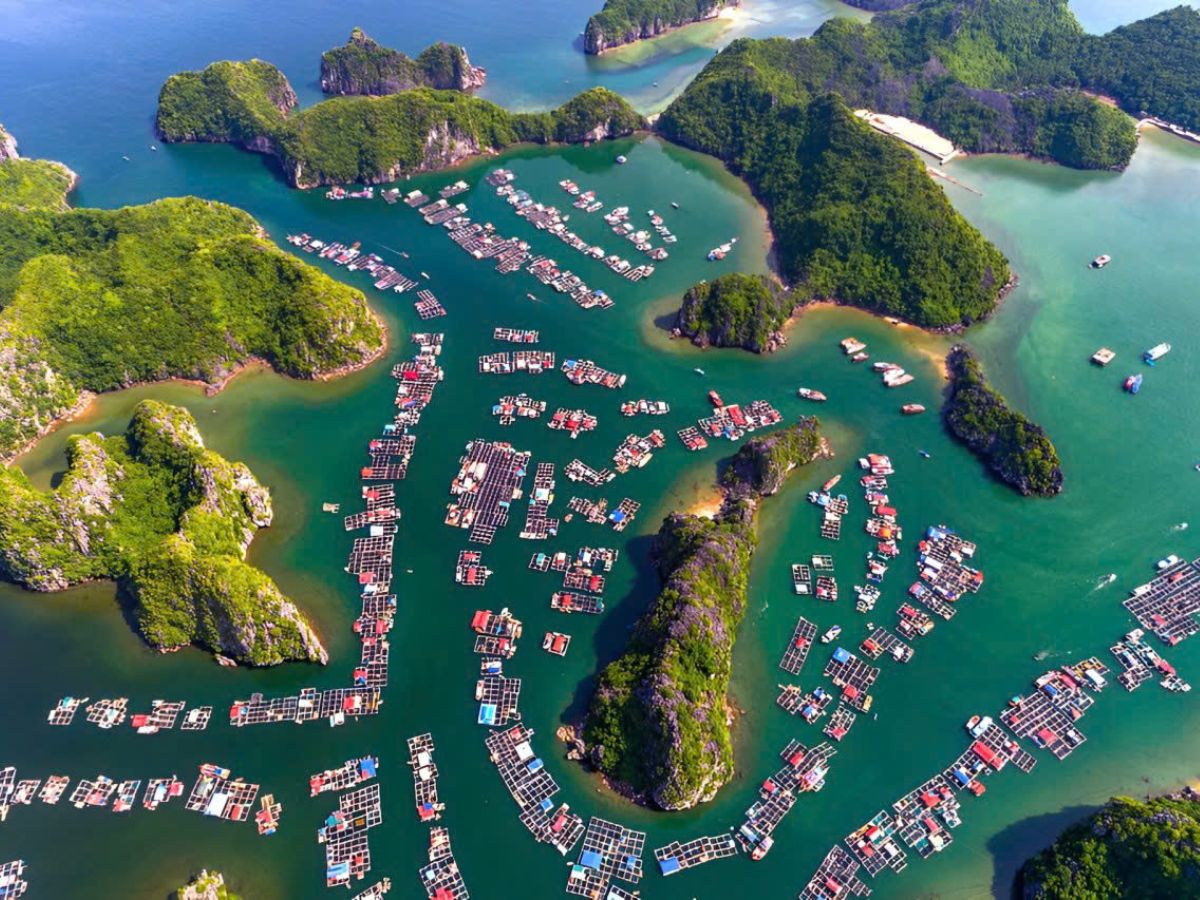 Du lịch Hải Phòng 2 ngày 1 đêm mang đến trải nghiệm trọn vẹn.