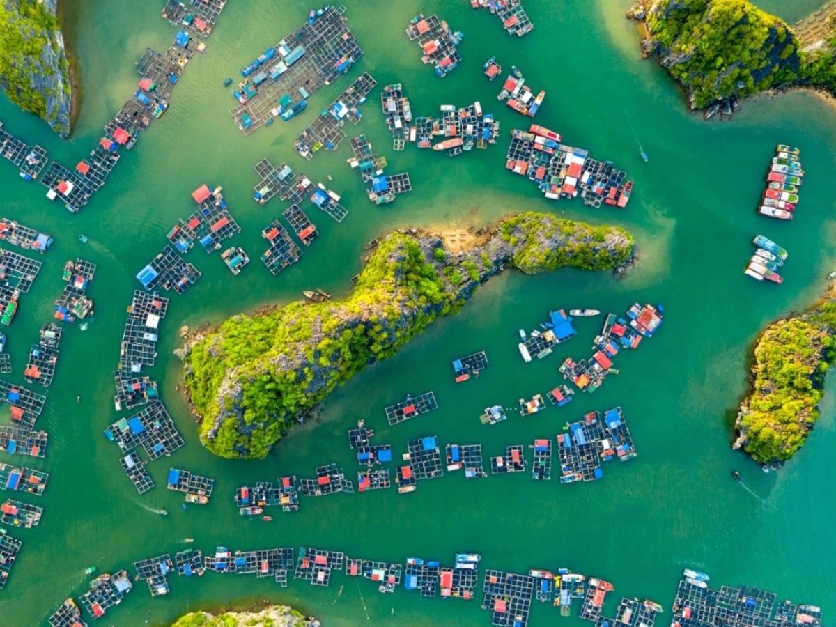 Discover the beauty of Viet Hai fishing village.