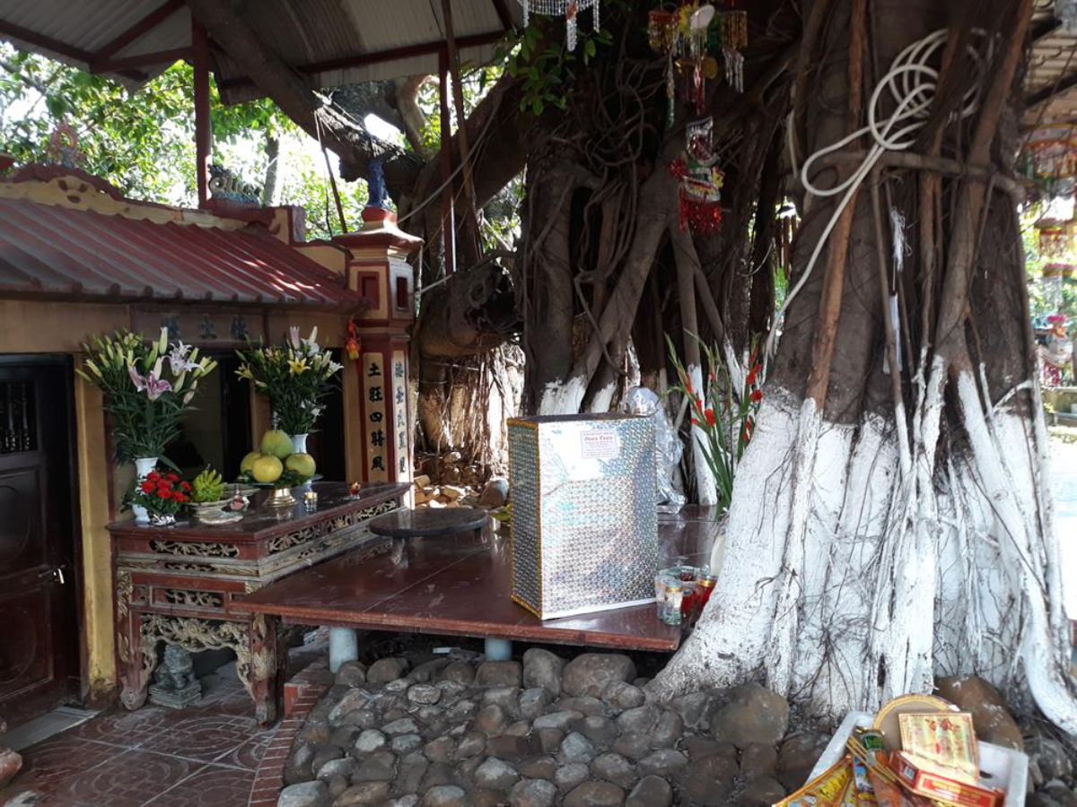 Đền thờ thờ Đức Thổ Vượng ngay dưới gốc cây đa