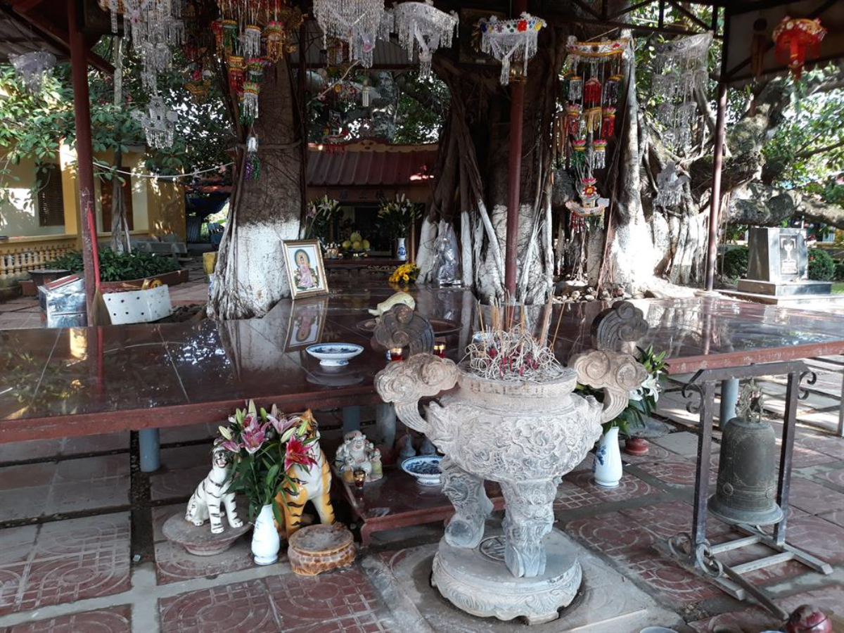 Đền thờ được lập dưới gốc cây đa