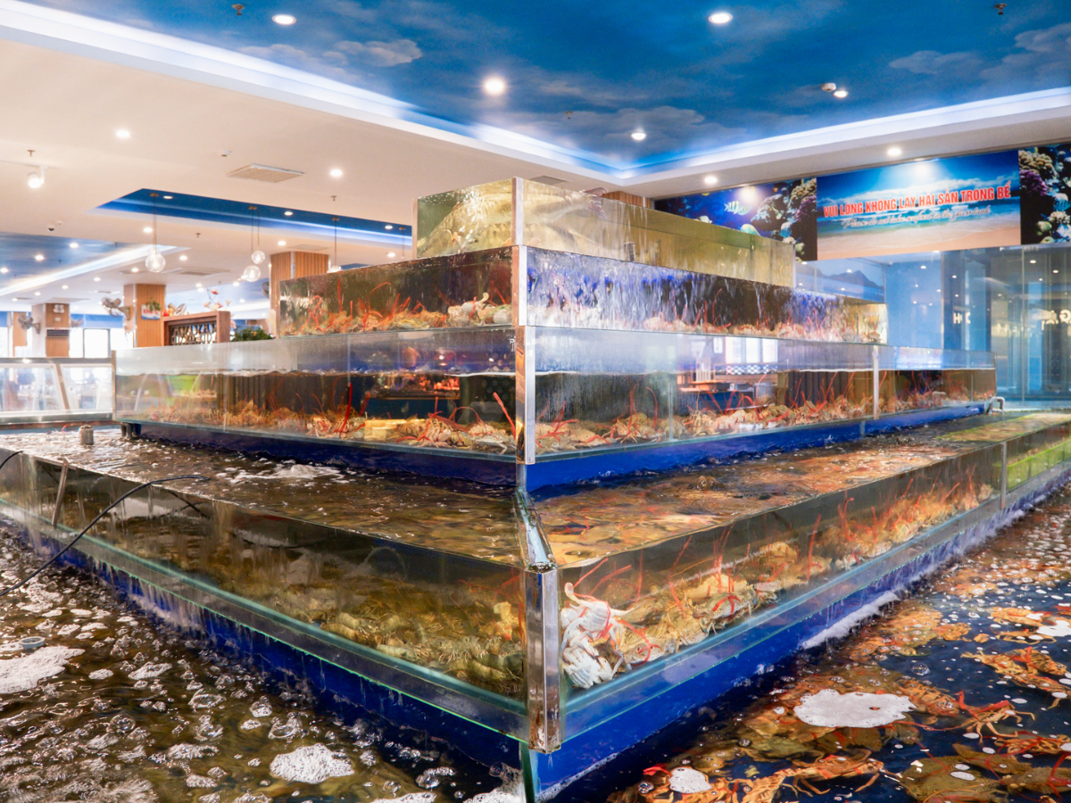 Bể hải sản tươi ngon tại HP3 Seafood Buffet.