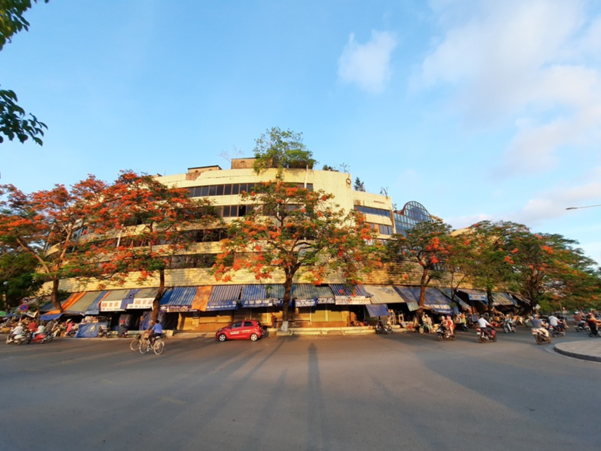 Hàng hoa phượng đỏ rực trước chợ Sắt Hải Phòng. Hàng hoa phượng đỏ rực trước chợ Sắt Hải Phòng.