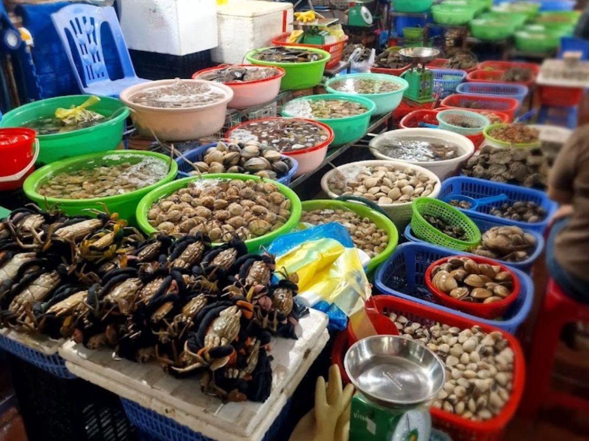 Chợ hải sản Hải Phòng thể hiện rõ nét văn hóa biển của thành phố. Chợ hải sản Hải Phòng thể hiện rõ nét văn hóa biển của thành phố.