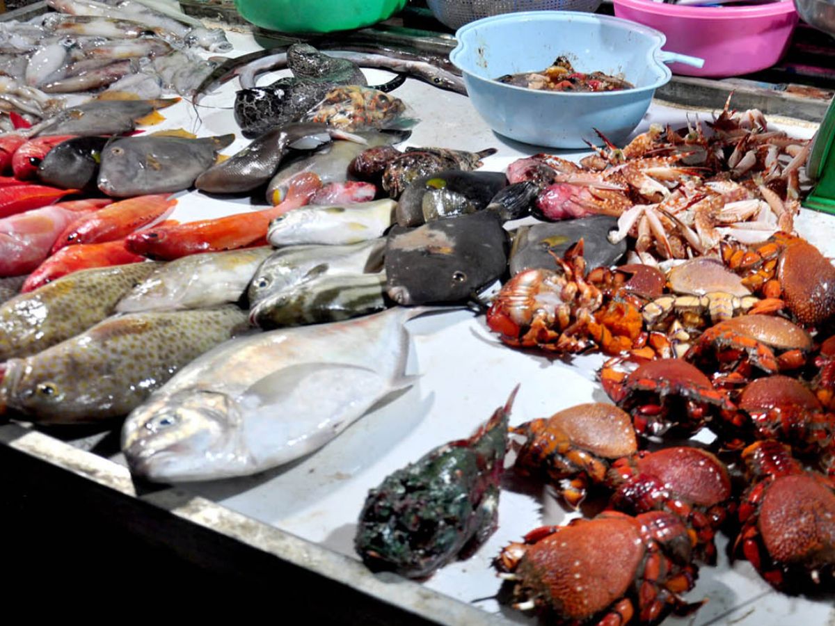 Chọn mua đồ tươi ngon tại chợ hải sản Hải Phòng. Chọn mua đồ tươi ngon tại chợ hải sản Hải Phòng.