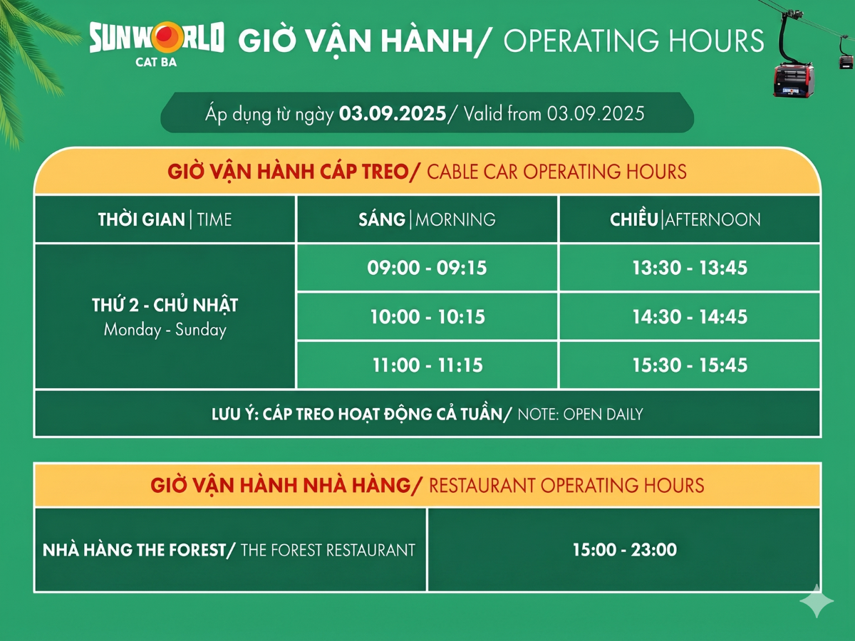 Lựa chọn khung giờ đi cáp treo phù hợp với nhu cầu.